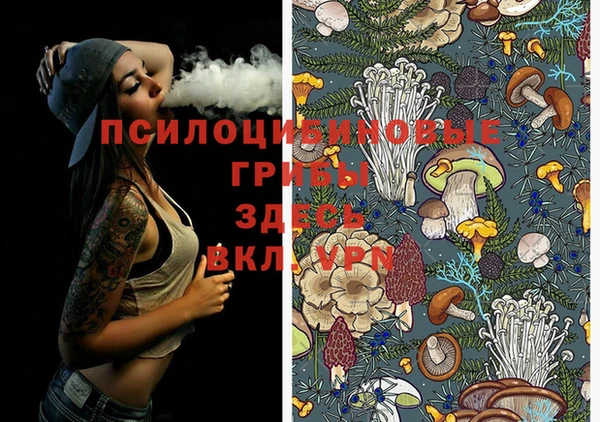 шишки Козельск
