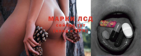 spice Козловка