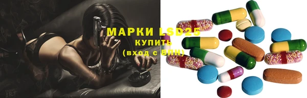 шишки Козельск