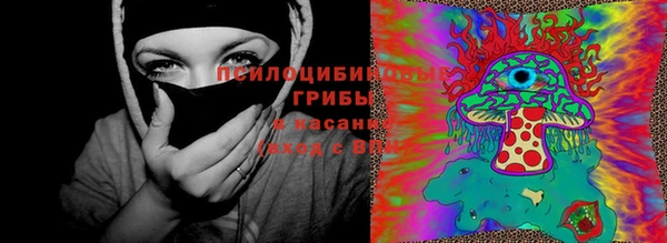 spice Козловка
