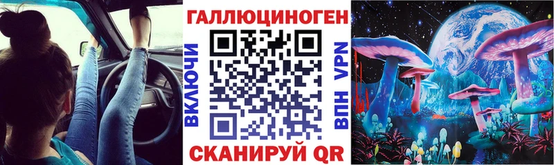 Купить где  Поронайск  Галлюциногенные грибы мицелий 